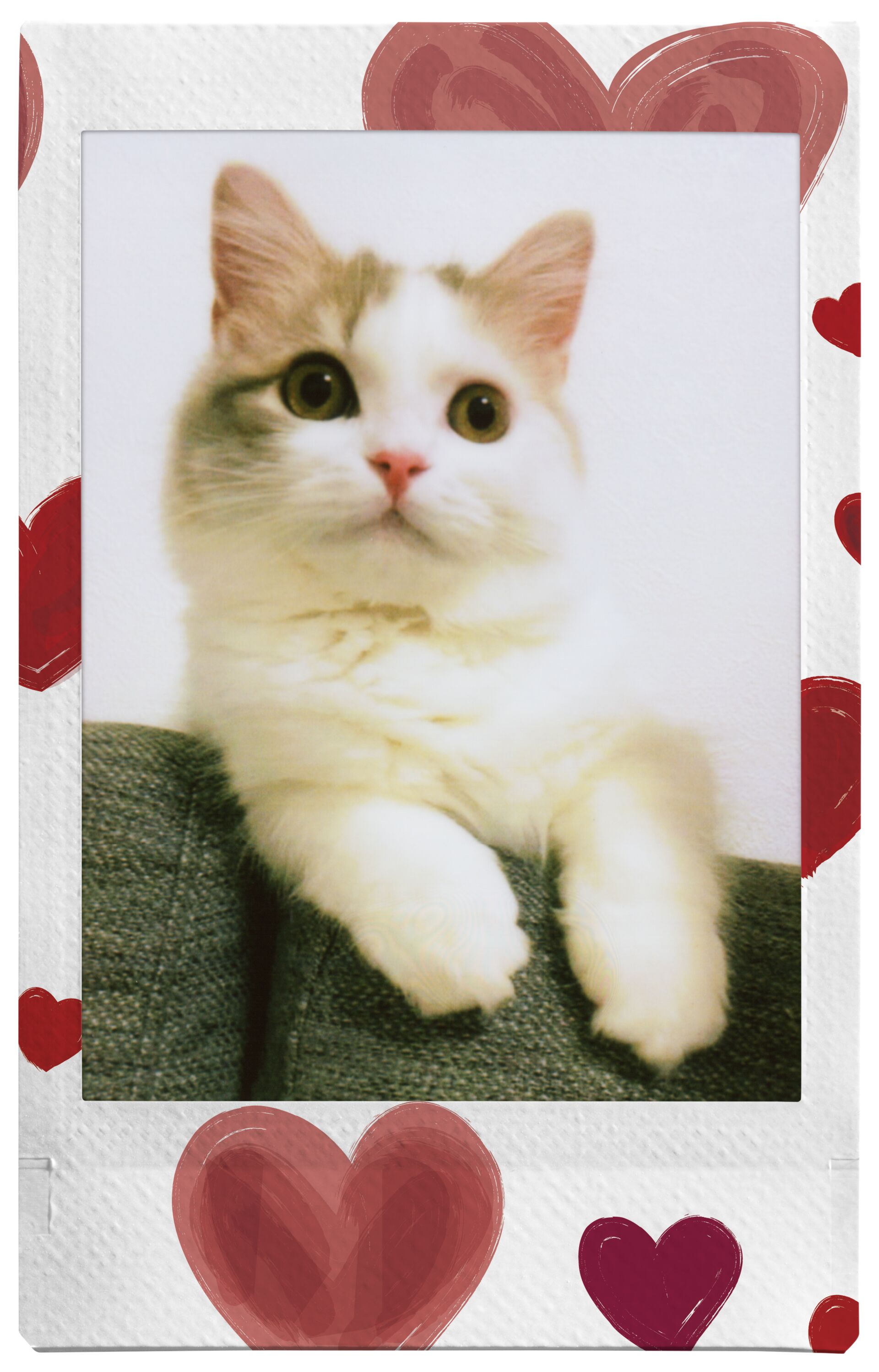 Combo de Filmes Fujifilm instax™ mini Heart Sketch 30 Fotos